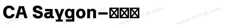 CA Saygon字体转换